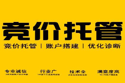 百度推广公司案例解析：如何利用百度推广实现快速转化